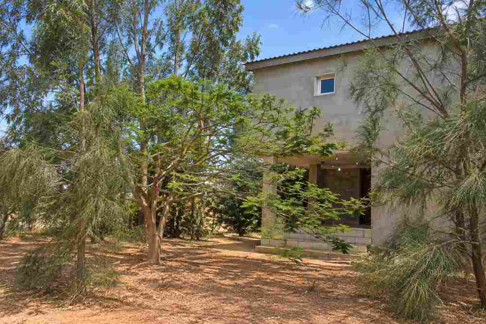 Farm | For Sale | Sidi Khalifa